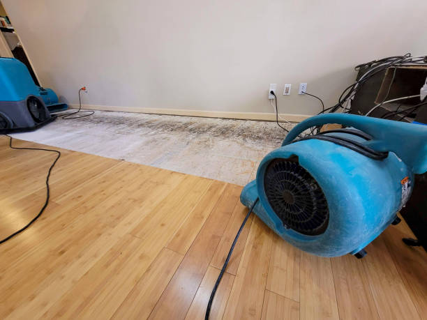 Professional Emergency Water Damage technician working in Ankeny, IA